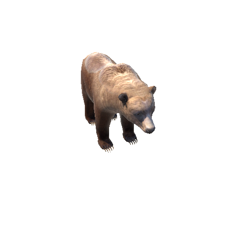 BrownBearLowPoly