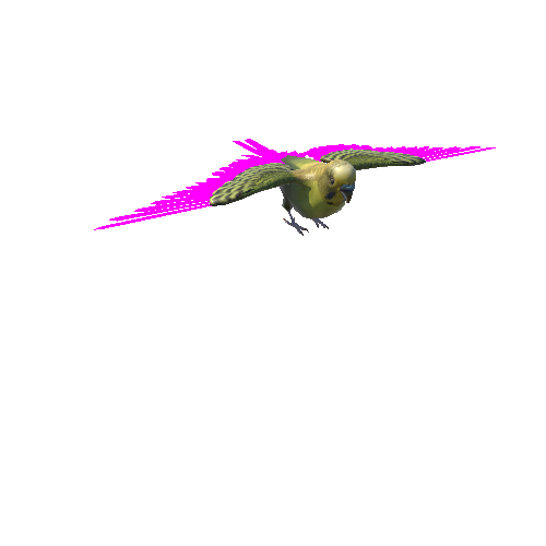 BudgerigarLowPoly