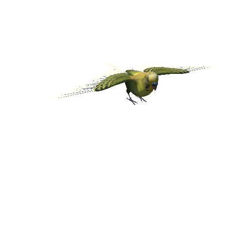 BudgerigarMiddlePoly_1