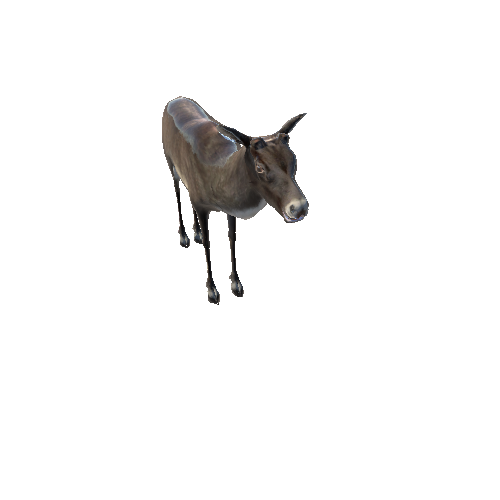 CaribouModelNoAntlerLowPoly