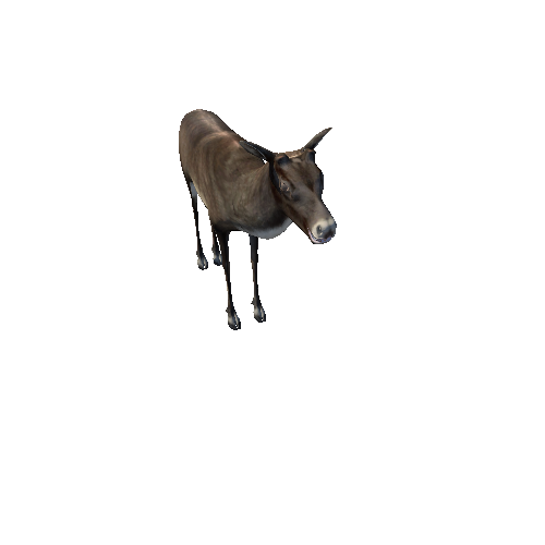 CaribouModelNoAntlerMiddlePoly