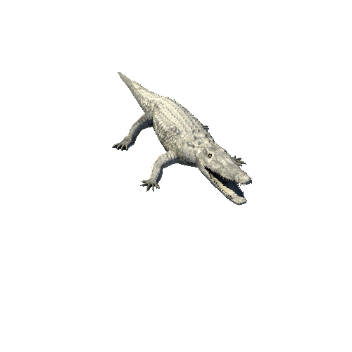 CrocodileLowPoly