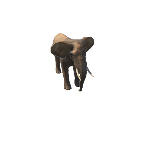 ElephantMiddlePoly