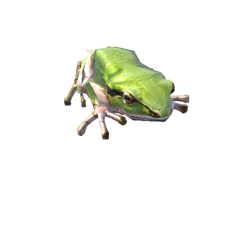 FrogZForwardSkin