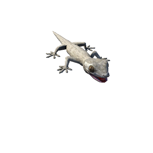 GeckoModel