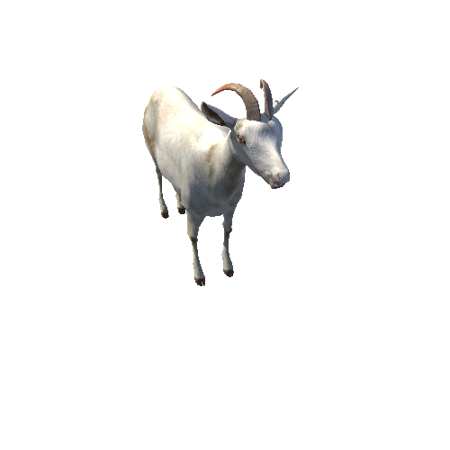 GoatLowPoly