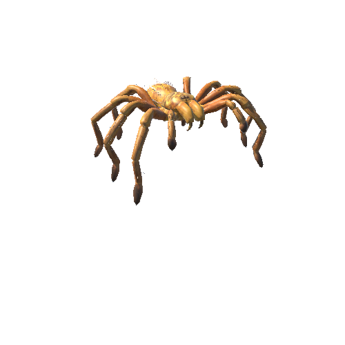 GoldTarantula