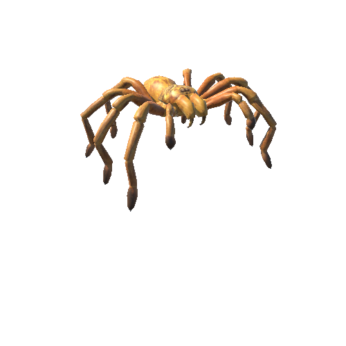 GoldTarantulaNoFur