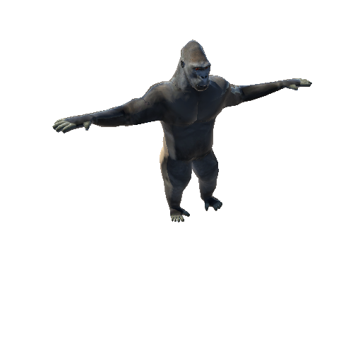 GorillaTwoLODsRagdoll