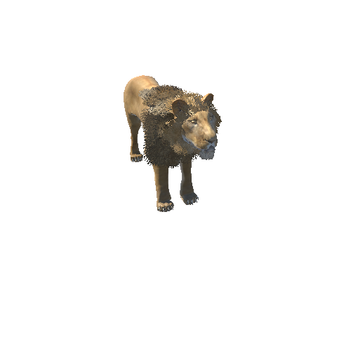 LionModelDoubleSidedMiddlePoly