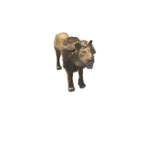 LionModelOneSidedLowPoly