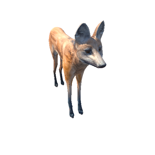 ManedWolfModelMiddlePoly