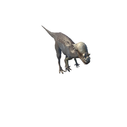 Pachycephalosaurus_LowPory