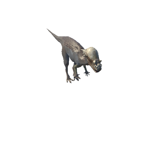 Pachycephalosaurus_LowPoryInPlace