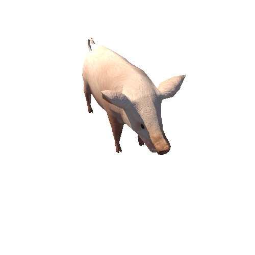 PigLowPoly