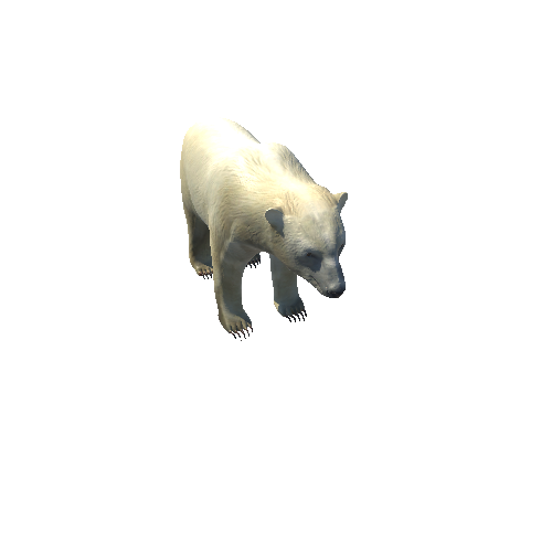 PolarBearModelTwoLODs