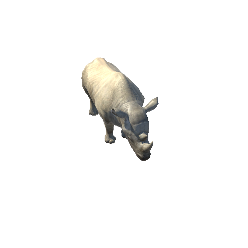 RhinoModelLowPoly