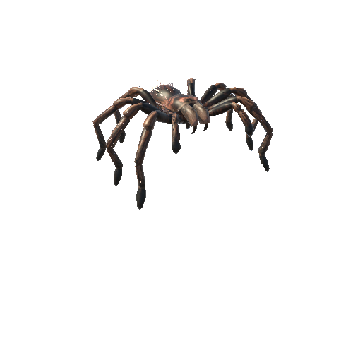 RoseTarantula