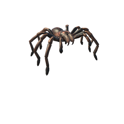 RoseTarantulaNoFur