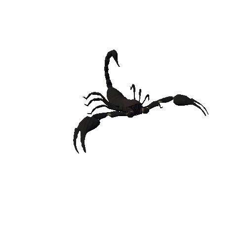 ScorpionModelMiddlePoly