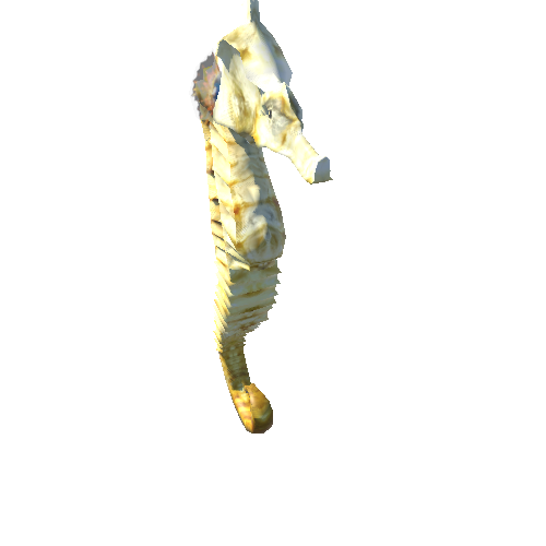 Seahorse