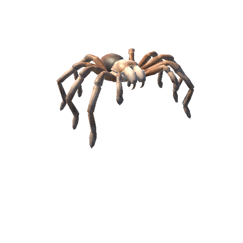 TarantulaNoFur_1