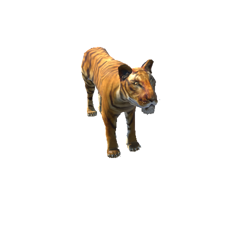 TigerLowPoly