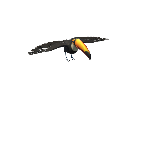 ToucanMiddlePoly