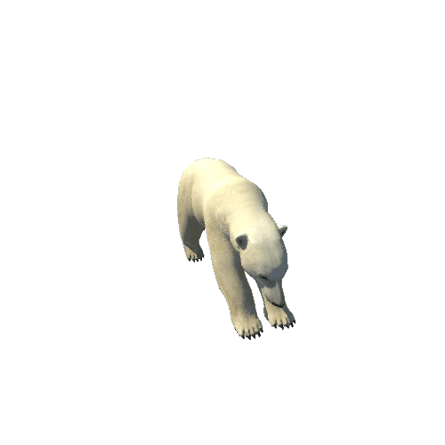 polarbear@running