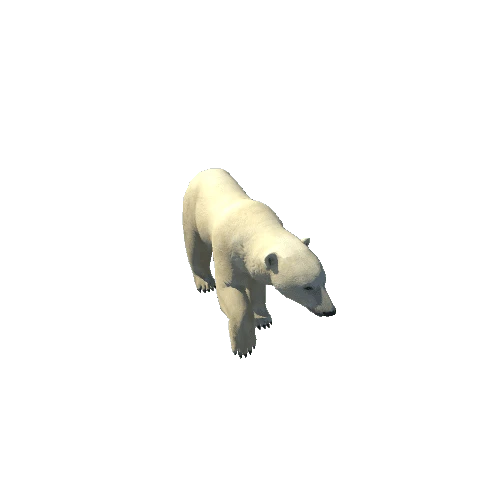 polarbear@trotleft