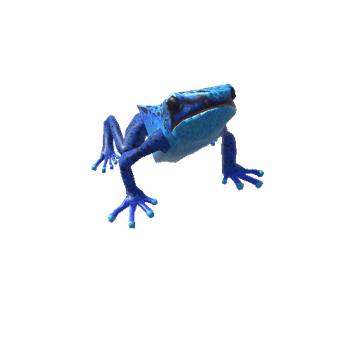 BluePoisonDartFrog