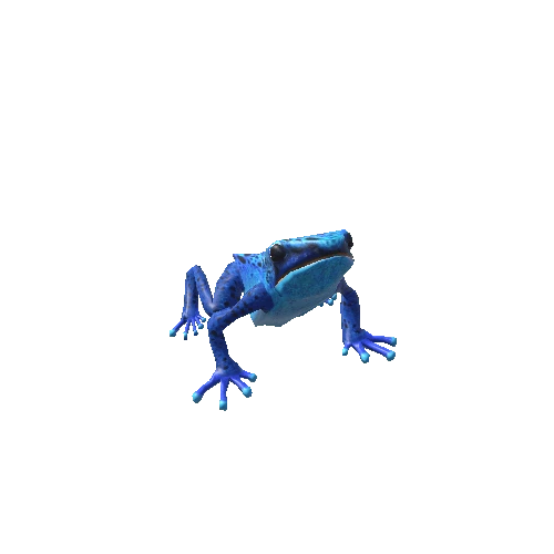 BluePoisonDartFrog