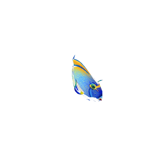 TangFish_04