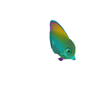 TangFish_06