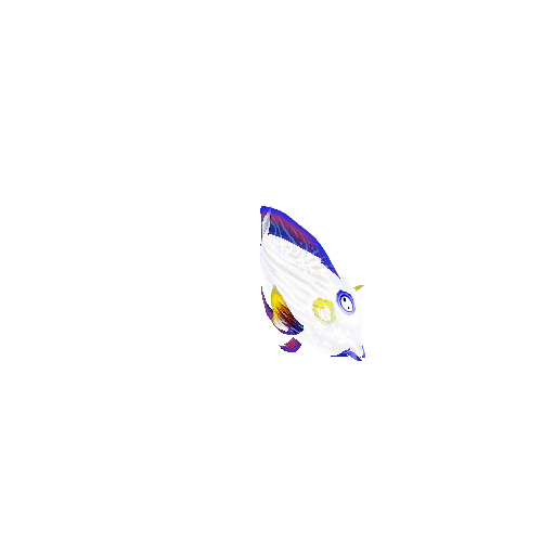 TangFish_07