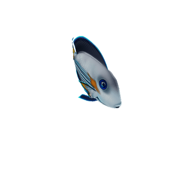 TangFish_14