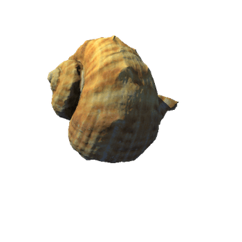 Seashell11