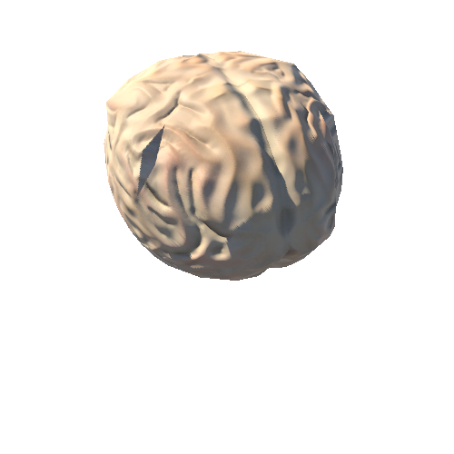 brain