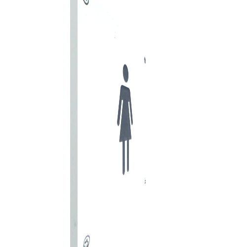 ToiletPosterFemale