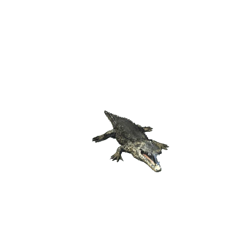 crocodile_02_IP_HP_mat2