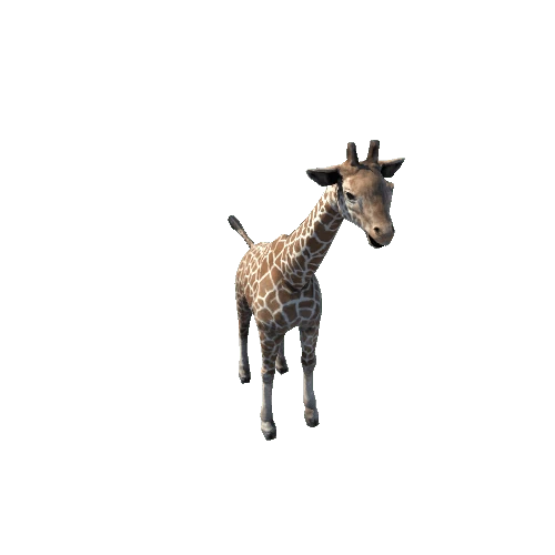 giraffe_sv_rm_LP