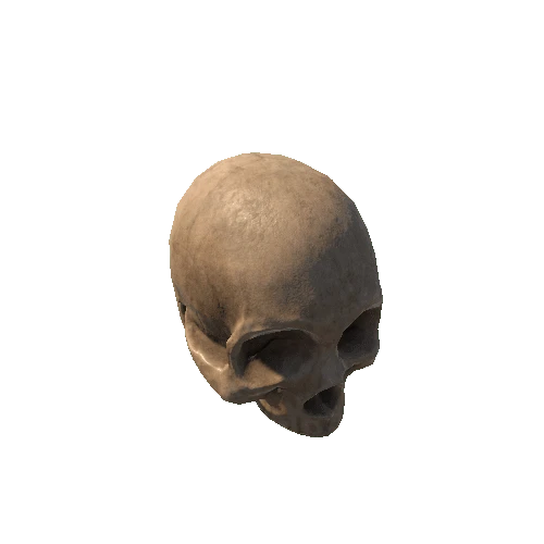 skull