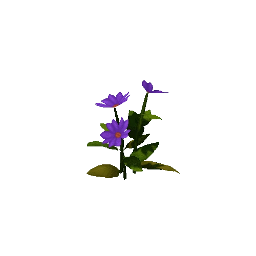 Flower_Purple_C
