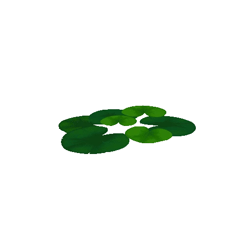 Lily_Pad_Leaf_A