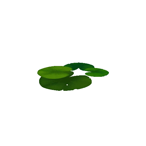 Lily_Pad_Leaf_C