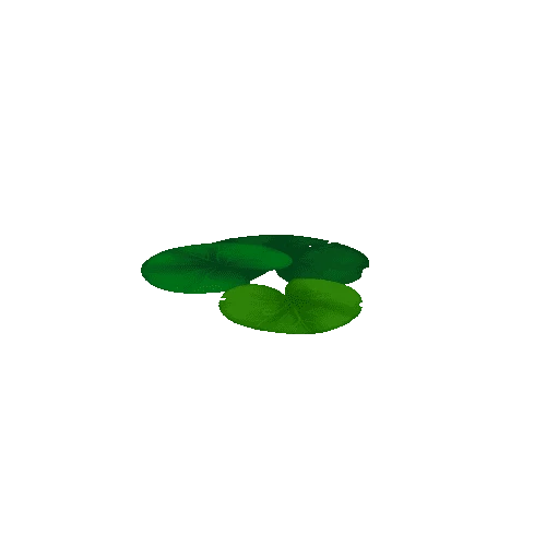 Lily_Pad_Leaf_D