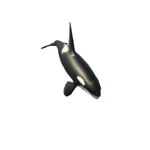 Orca