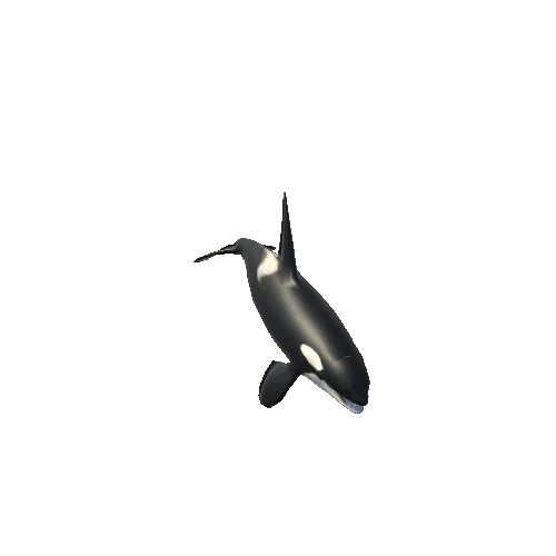 Orca