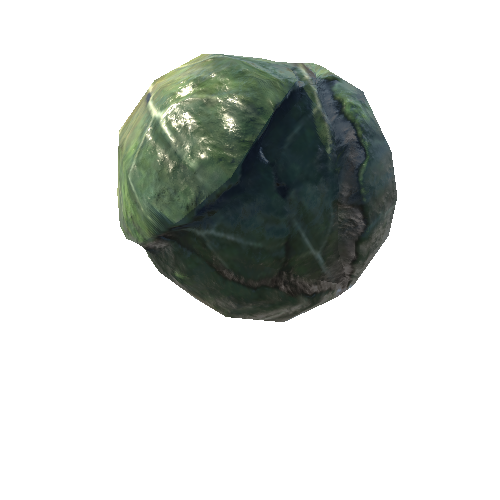 Cabbage