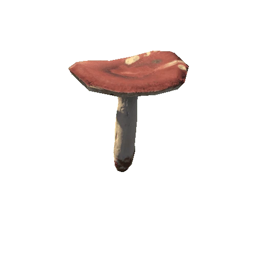 Mushroom21